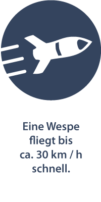 Fluggeschwindigkeit von Wespen